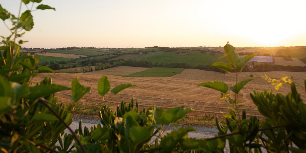Appartamento Poggio Antico Monte San Vito Esterno foto