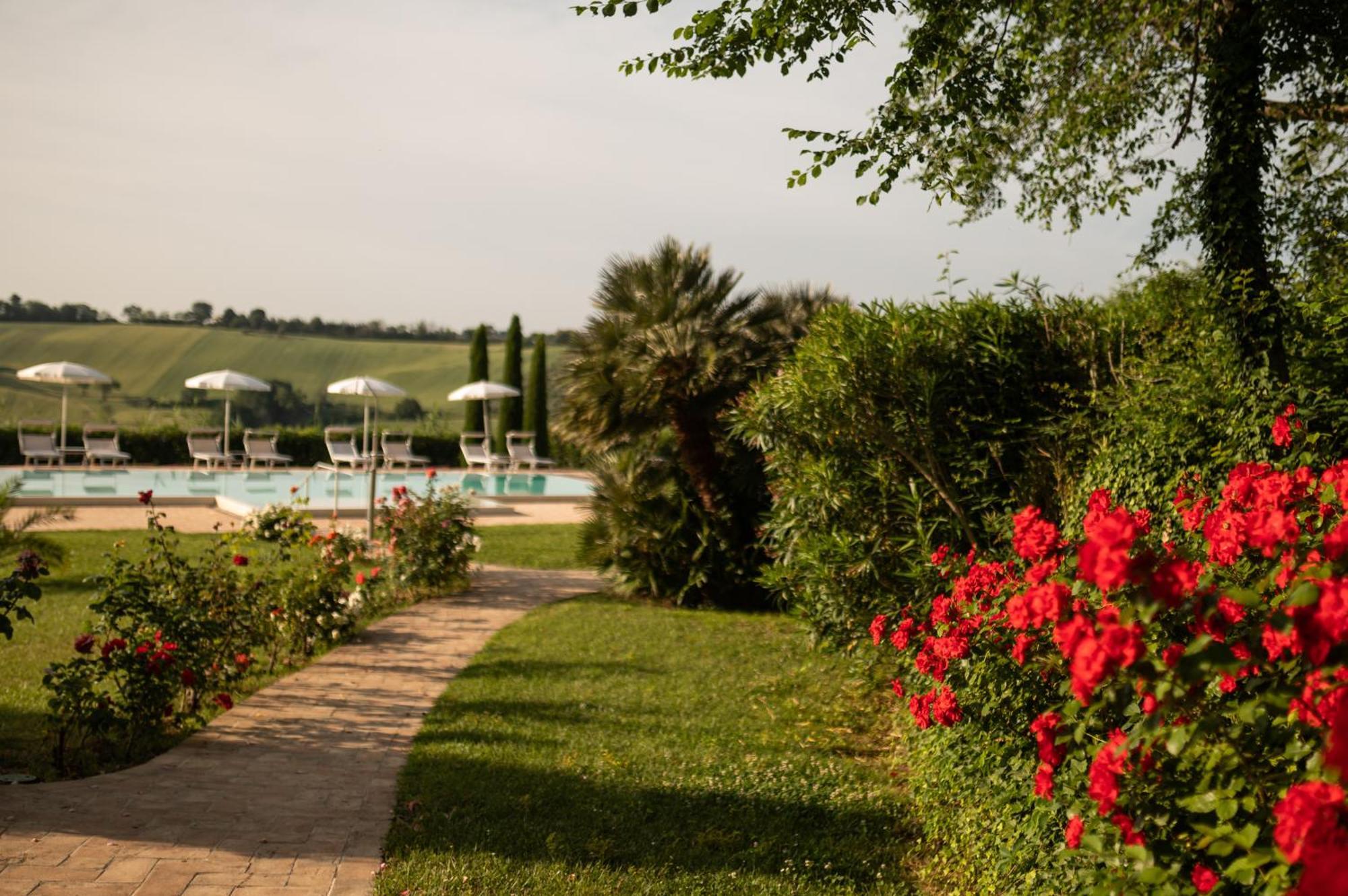 Appartamento Poggio Antico Monte San Vito Esterno foto