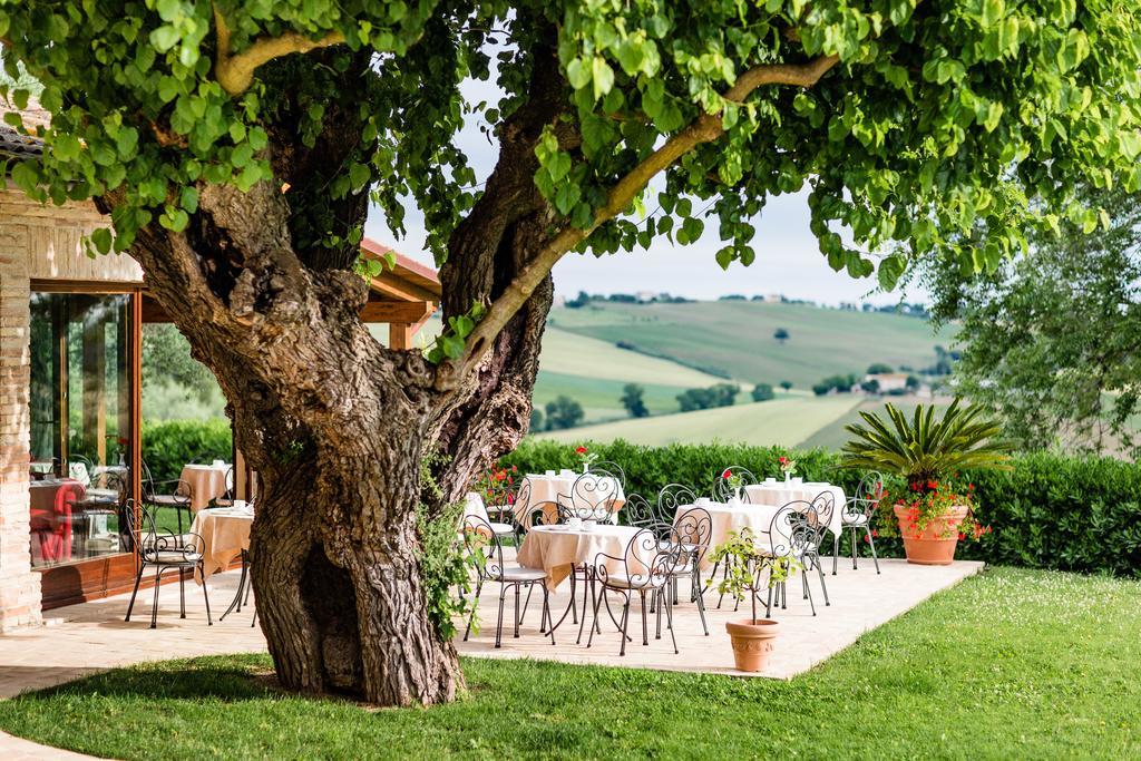 Appartamento Poggio Antico Monte San Vito Esterno foto